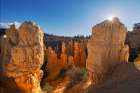 Sunburst over Hoodoos Bryce Canyon National Park, Utah Art Print